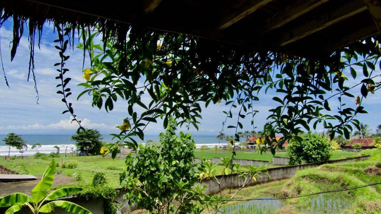 Dikaloha Surfschool And Stay Airsatang Exterior foto